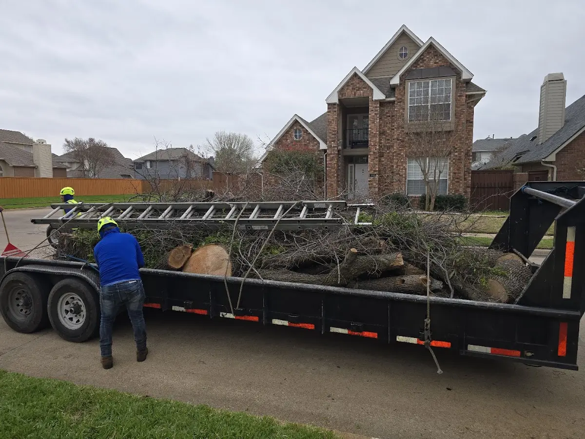 Expert Tree Pest Control with proper safety equipment in Barnhill
